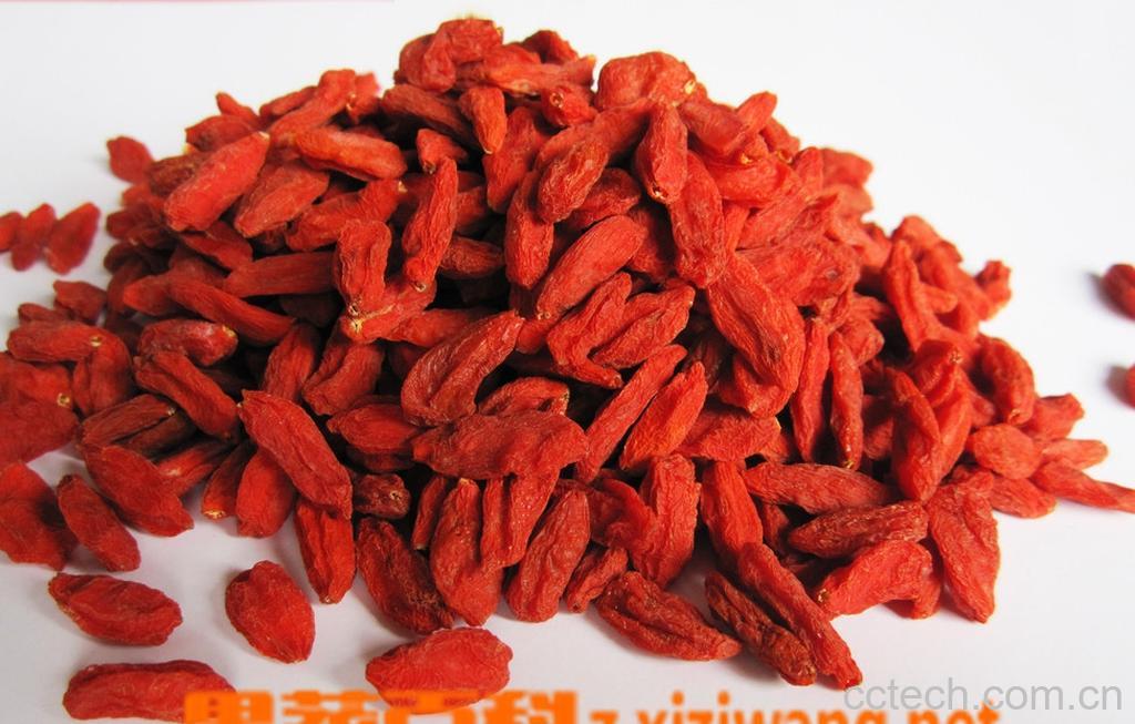 果蔬百科枸杞子-0