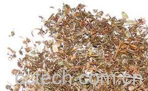 果蔬百科夏枯草-0