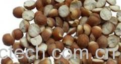 果蔬百科芡实-0