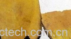 果蔬百科功劳木-0