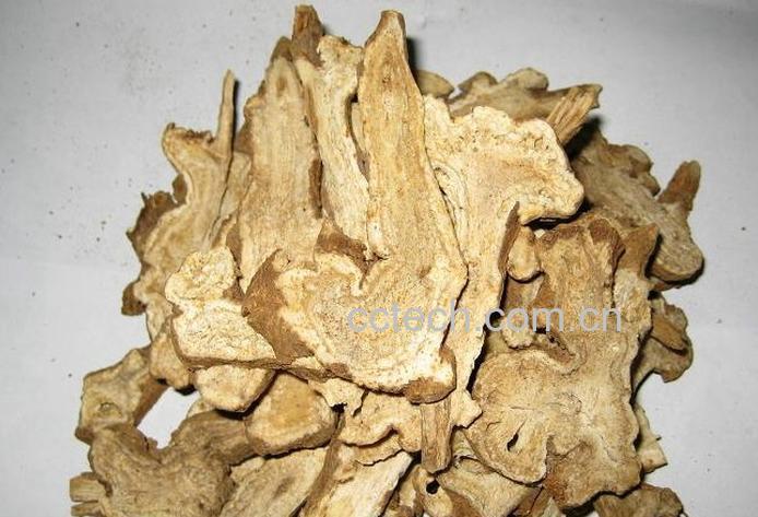 果蔬百科白术-0