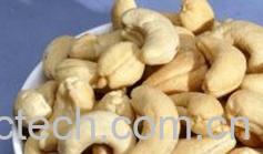 果蔬百科腰果-0