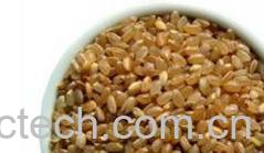 果蔬百科糙米-0