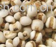 果蔬百科薏仁米-0