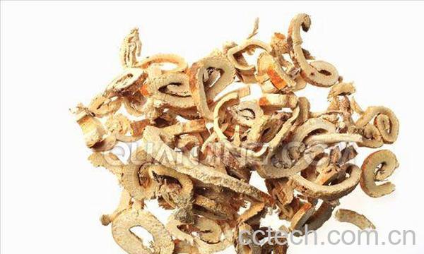 果蔬百科桑白皮-0