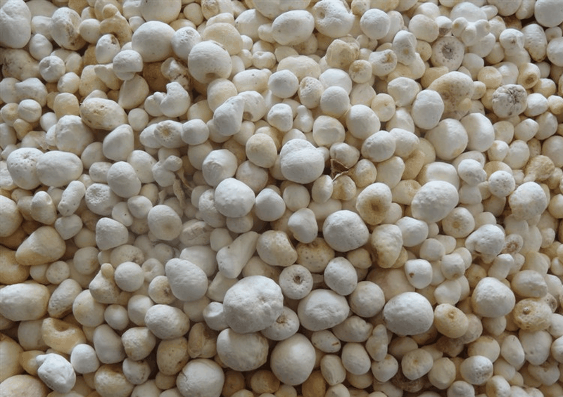 果蔬百科半夏-0