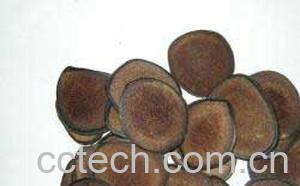 果蔬百科鹿角胶-0