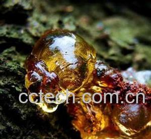 果蔬百科桃胶-0