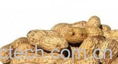 果蔬百科花生-0