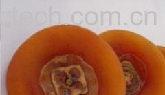 果蔬百科柿饼-0