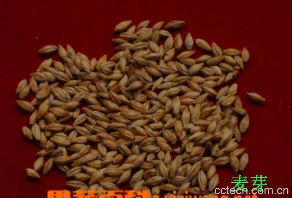 果蔬百科麦芽-0