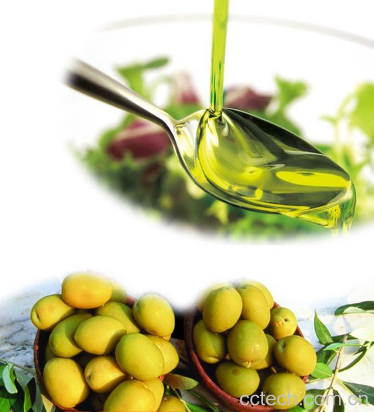 果蔬百科橄榄油-0