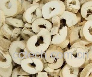 果蔬百科牡丹皮-0