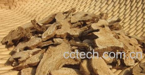 果蔬百科白术的功效与作用及食用方法 -0