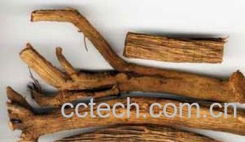 果蔬百科牛膝的功效与作用-0