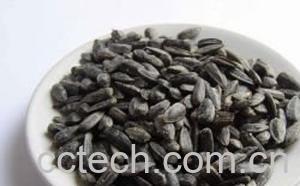 果蔬百科葵花籽的功效与作用 -0