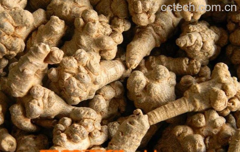 果蔬百科三七粉-0