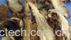 果蔬百科白芨的功效与作用-0