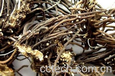 果蔬百科威灵仙的功效与作用及食用方法-0