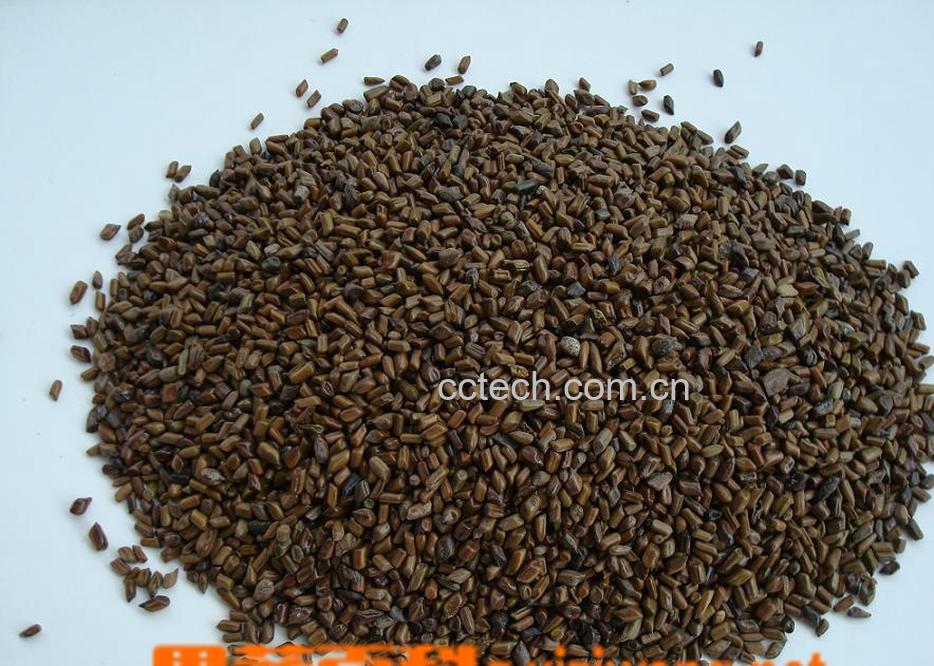 果蔬百科决明子的作用和副作用-0