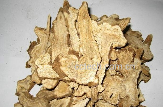 果蔬百科白术的功效与作用-0