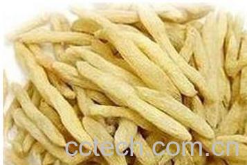 果蔬百科麦冬的主要功效与作用 -0