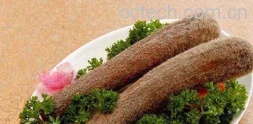 果蔬百科鹿茸的医疗功效与作用-0