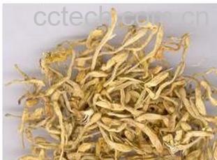 果蔬百科金银花泡水喝的功效 -0