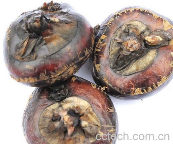 果蔬百科荸荠的四大功效与作用-0