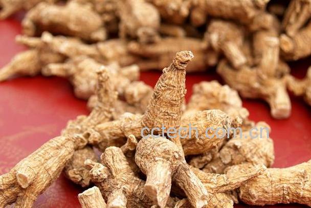 果蔬百科 西洋参的作用与功效 -0