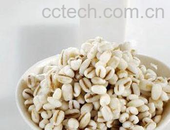 果蔬百科薏米的功效与作用 -0