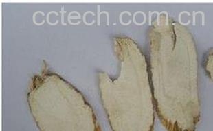 果蔬百科 白芷养颜美容的功效与作用 -0