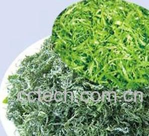 果蔬百科螺旋藻的功效与作用 -0