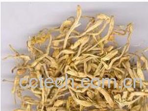 果蔬百科金银花的药用功效与作用 -0