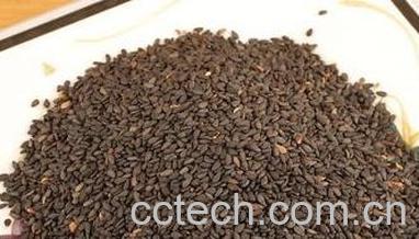 果蔬百科黑芝麻的功效与作用 -0