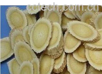 果蔬百科 茯苓的功效与作用 -0