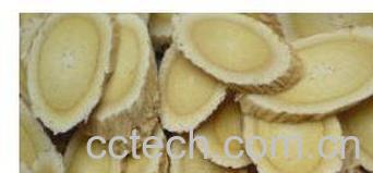 果蔬百科 黄芪的功效与作用及食用方法 -0