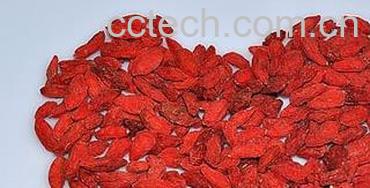 果蔬百科 枸杞子的作用与功效 -0