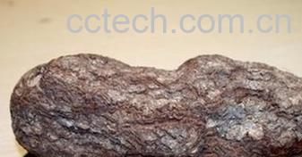 果蔬百科茯苓的功效和作用 -0