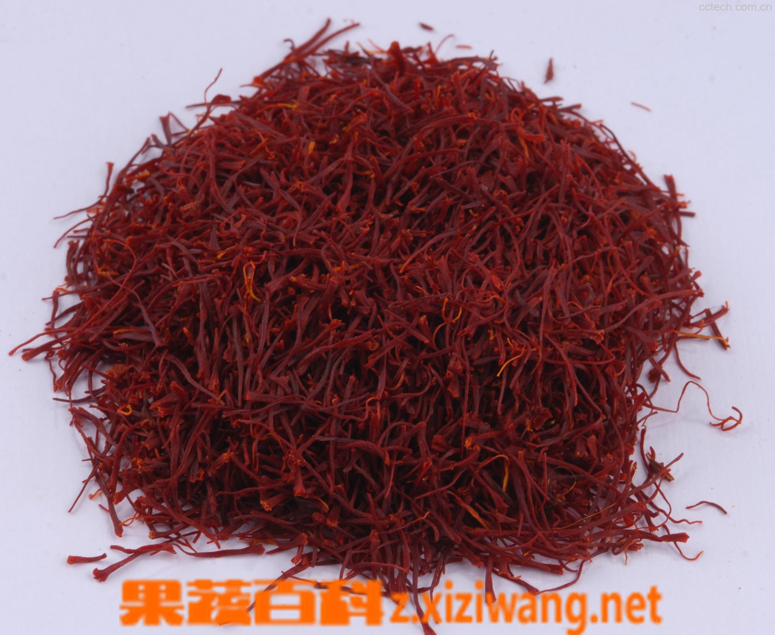 果蔬百科藏红花-0