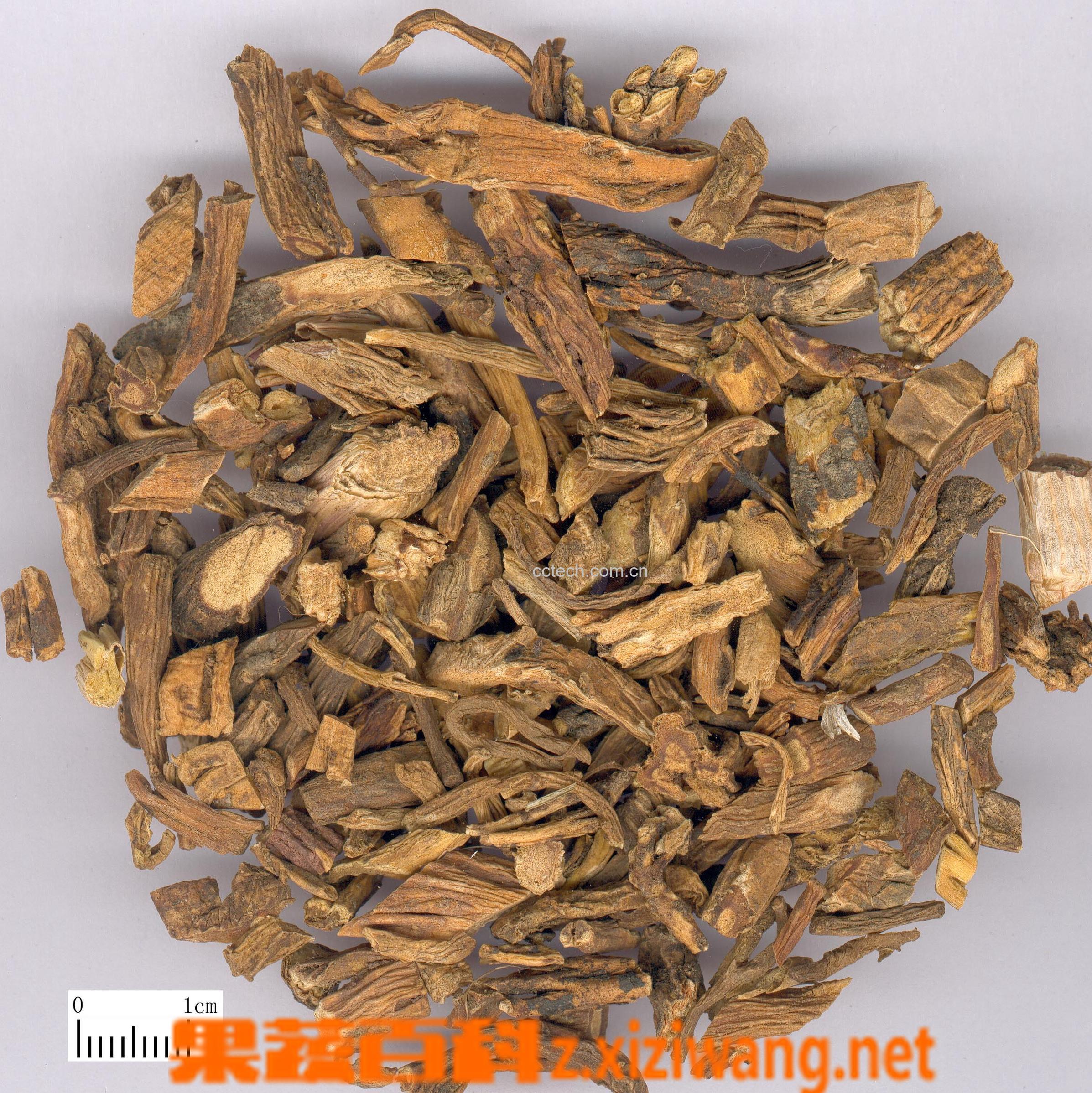 果蔬百科鹿角的功效与作用-0