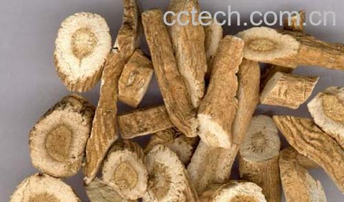 果蔬百科板蓝根-0