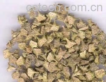 果蔬百科蒺藜的功效与作用-0