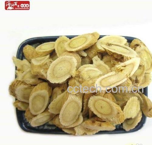 果蔬百科当归的作用与功效-0