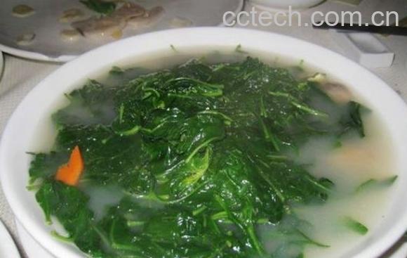 果蔬百科枸杞叶的功效-0