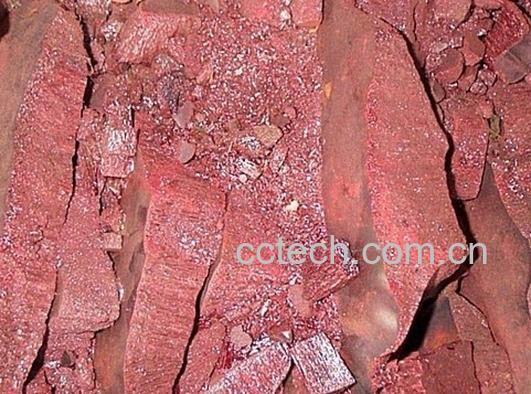 果蔬百科朱砂的作用-0