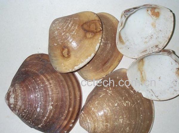 果蔬百科地骨皮的副作用-0