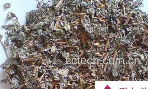 果蔬百科溪黄草的副作用-0