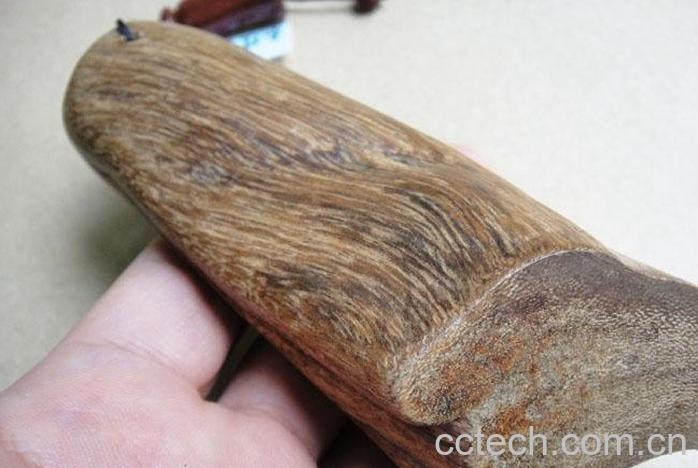 果蔬百科沉香-0