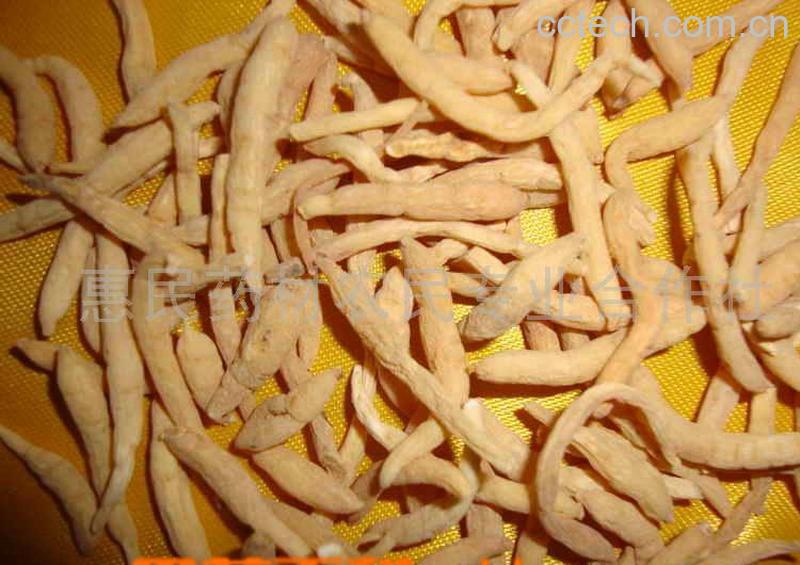 果蔬百科太子参泡水喝的功效-0